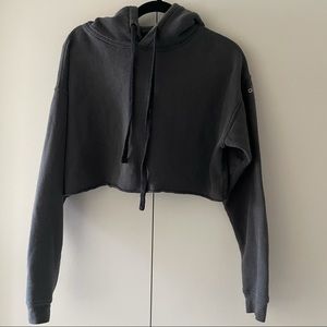 ALO Yoga Cropped Hoodie